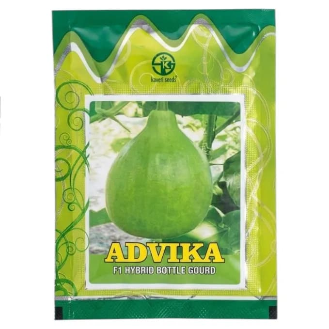 Kaveri Advika F1 Hybrid Bottle Gourd Seeds - Image 1