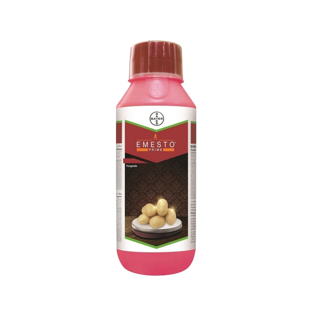 Bayer Emesto Prime Penflufen 240 FS Novel Fungicide for Potato Seed Treatment - Image 1