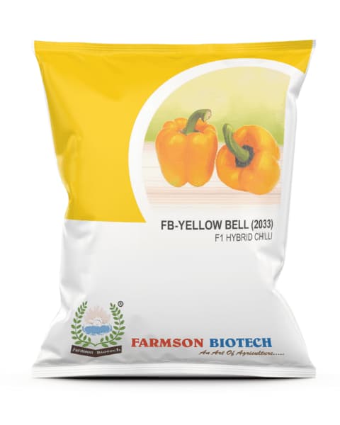 Farmson FB Yellow Bell 2033 F1 Hybrid Sweet Pepper Seeds, Capsicum, Medium Tall with Semi Spreading 