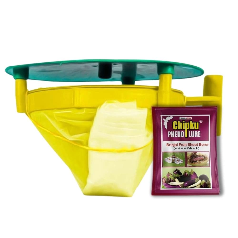 Chipku Pheromone Trap Funnel With Leucinodes Orbonalis Lure, To Catch Insect Moth Of Brinjal Fruit and Shoot Borer Lucin, Trap And Lure