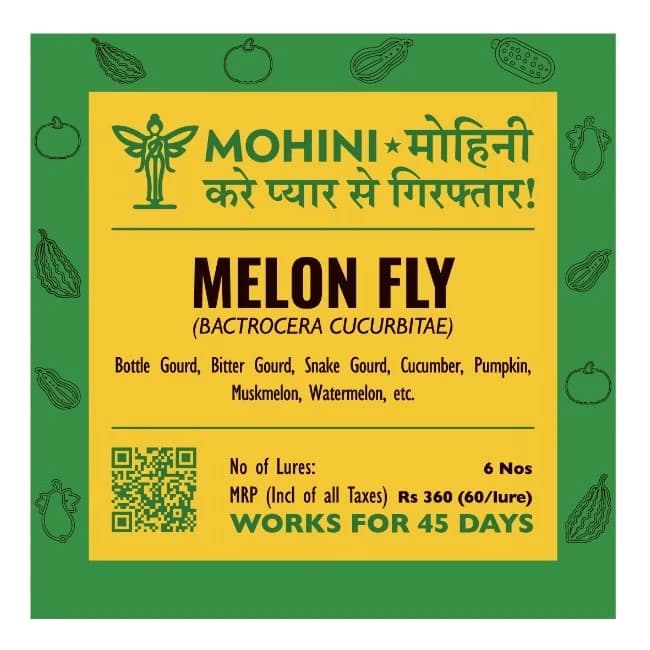 Biowall Mohini Melon Fly Bactrocera Cucurbitae, Pheromone Lure For Effective Pest Control - Image 1