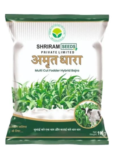 Shri Ram Amrut Dhara Multi Cut Fodder Hybrid Bajra Seeds - Image 1