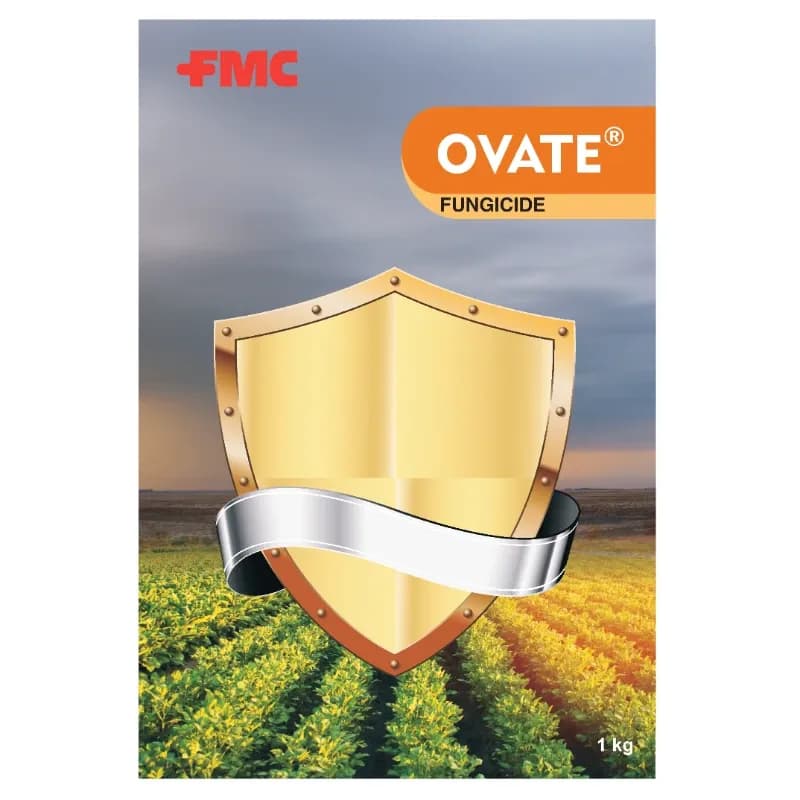 FMC OVATE Chlorothalonil 75% WP Contact Fungicide With Multisite Action - Image 1