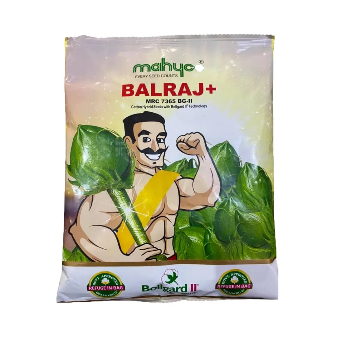Mahyco Balraj+ MRC 7365 BG-II Hybrid Cotton Seeds, Kapas Ke Beej, High Yield, Easy Picking (475 Gm) - Image 1