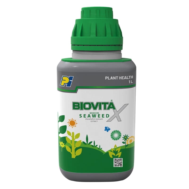 PI Biovita X Fertilizer - Based On Seaweed Extract - Image 1