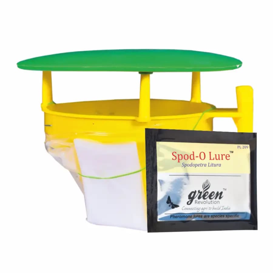 Funnel Trap with Spodo O Lure (Spodoptera Litura Pheromone) For Tobacco, Cotton, Red gram, Tomato and Chilli. - Image 1
