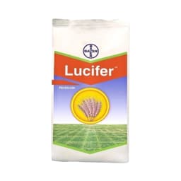 Bayer Lucifer Clodinafop Propargyl 15% WP, Post Emergence Herbicide For Control In Most Of The Important Grass Weeds In Wheat 1