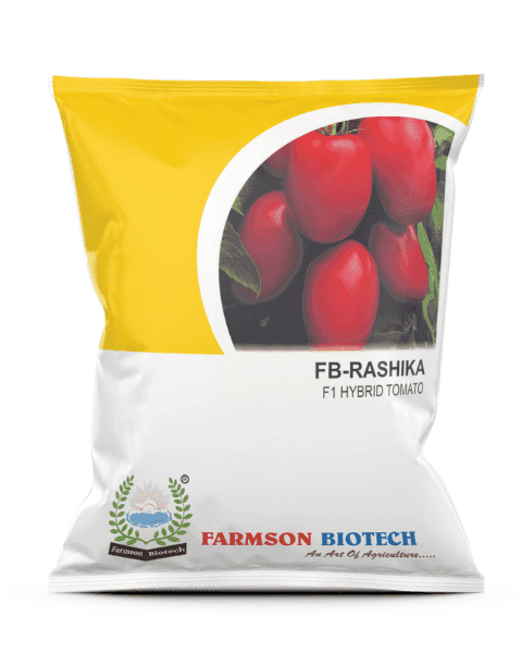Farmson FB Rashika F1 Hybrid Tomato Seeds, High Yield, Deep Red, TYLCV Resistant - Image 1