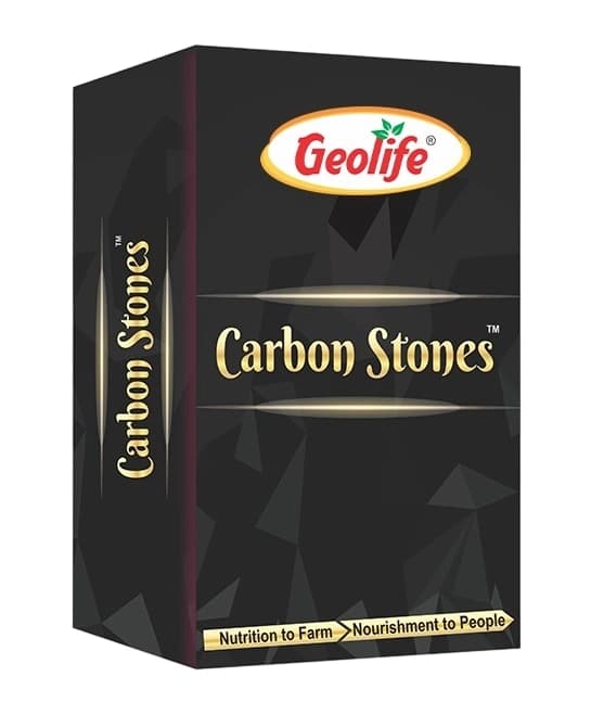 Geolife Carbon Stones Organic Fertilizer, Boost Soil Fertility Carbon for Soil and Plant Growth - Image 1