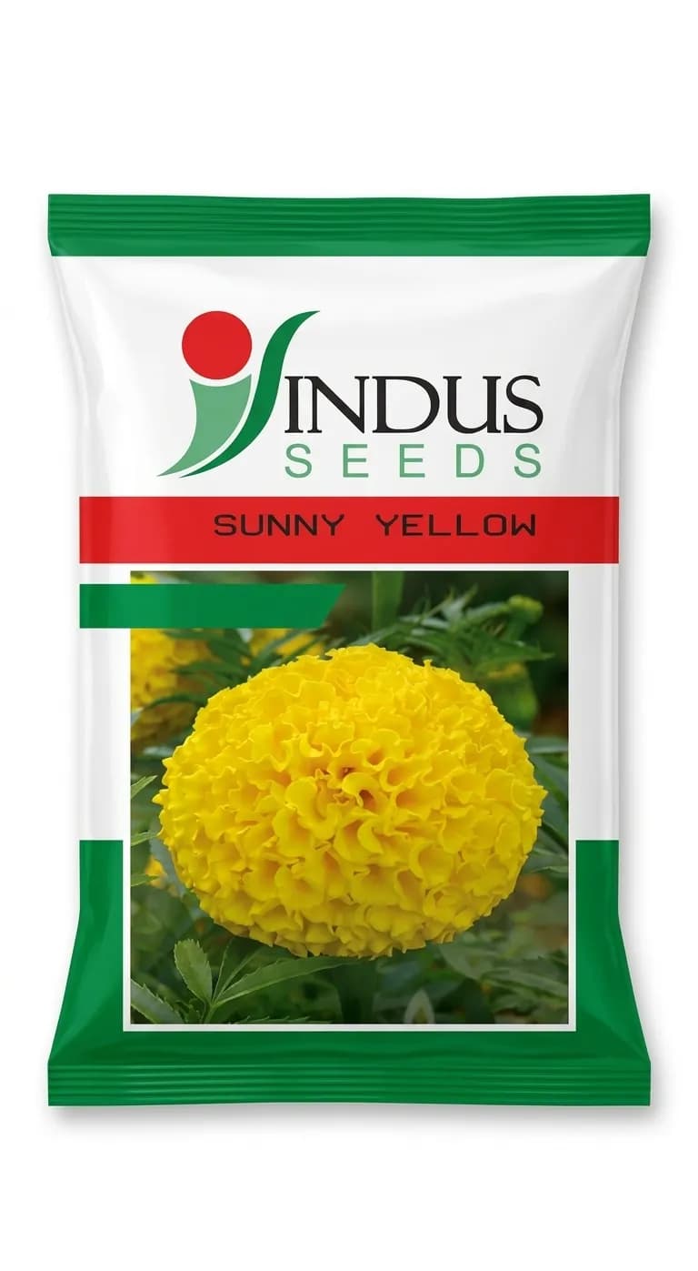 Indus Sunny Yellow F1 Hybrid Marigold Seeds 1000 SD + 300 SD Free Pack - Image 1