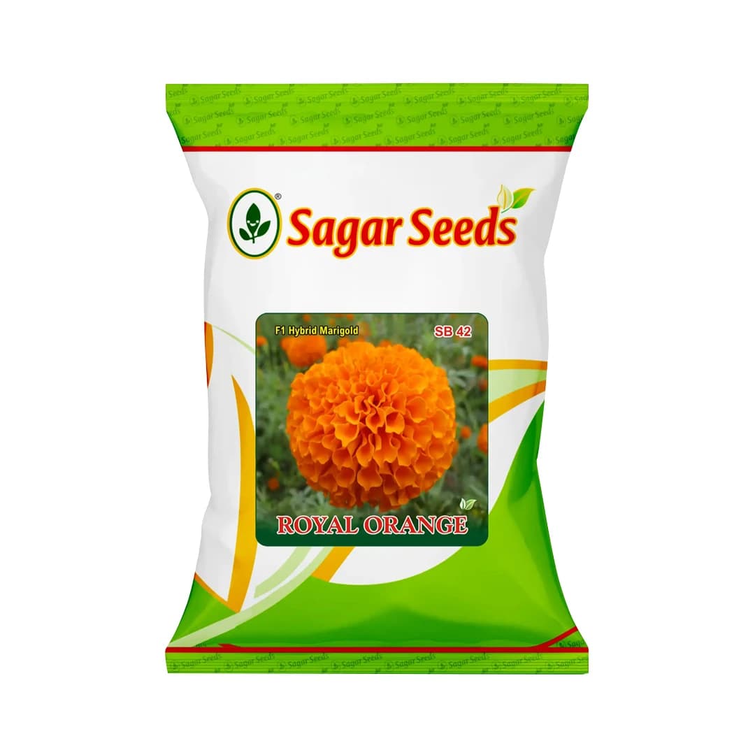 Sagar Royal Orange F1 Hybrid Marigold Seeds, Genda Ke Beej For Garden Plants - Image 1