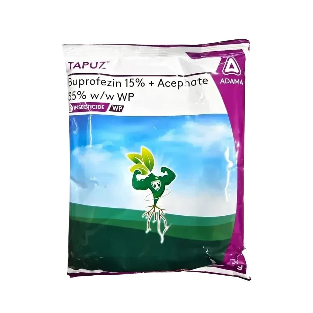 Adama Tapuz Buprofezin 15% + Acephate 35% WP, Long-Lasting and Effective Tool for BPH and WBPH in Rice
