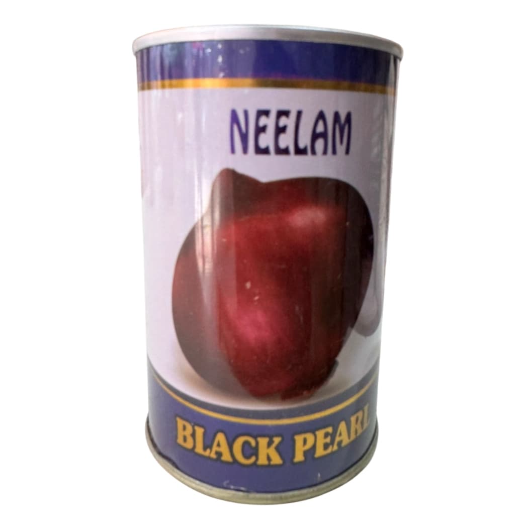 Neelam BLACK PEARL Hybrid Onion Seeds, High Yield, Red Bulb, Suitable For Multiple Seasons