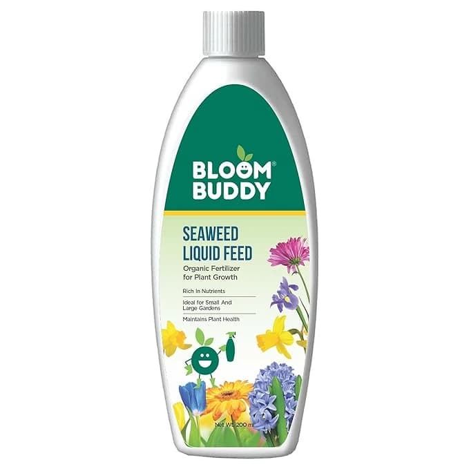 BloomBuddy Organic Seaweed Extract Liquid Fertilizer, Growth Promoter For Indoor & Outdoor Plants - Image 1