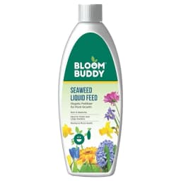 BloomBuddy Organic Seaweed Extract Liquid Fertilizer, Growth Promoter For Indoor & Outdoor Plants 1
