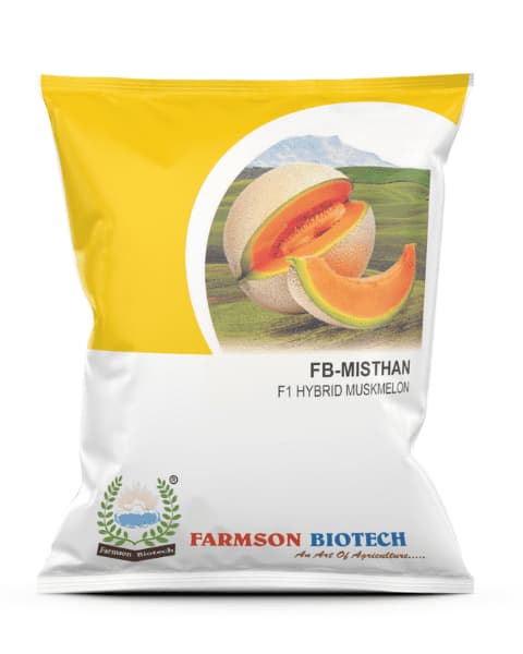 Farmson FB Misthan F1 Hybrid Muskmelon Seeds, Good Tolerance against Fusarium, Diseases & Viruses - Image 1