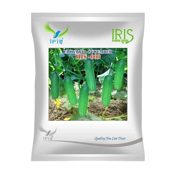 Iris IHS-009 F1 Hybrid Cucumber Seeds, High Yield Green Variety For Rainy Season Cultivation - Image 1