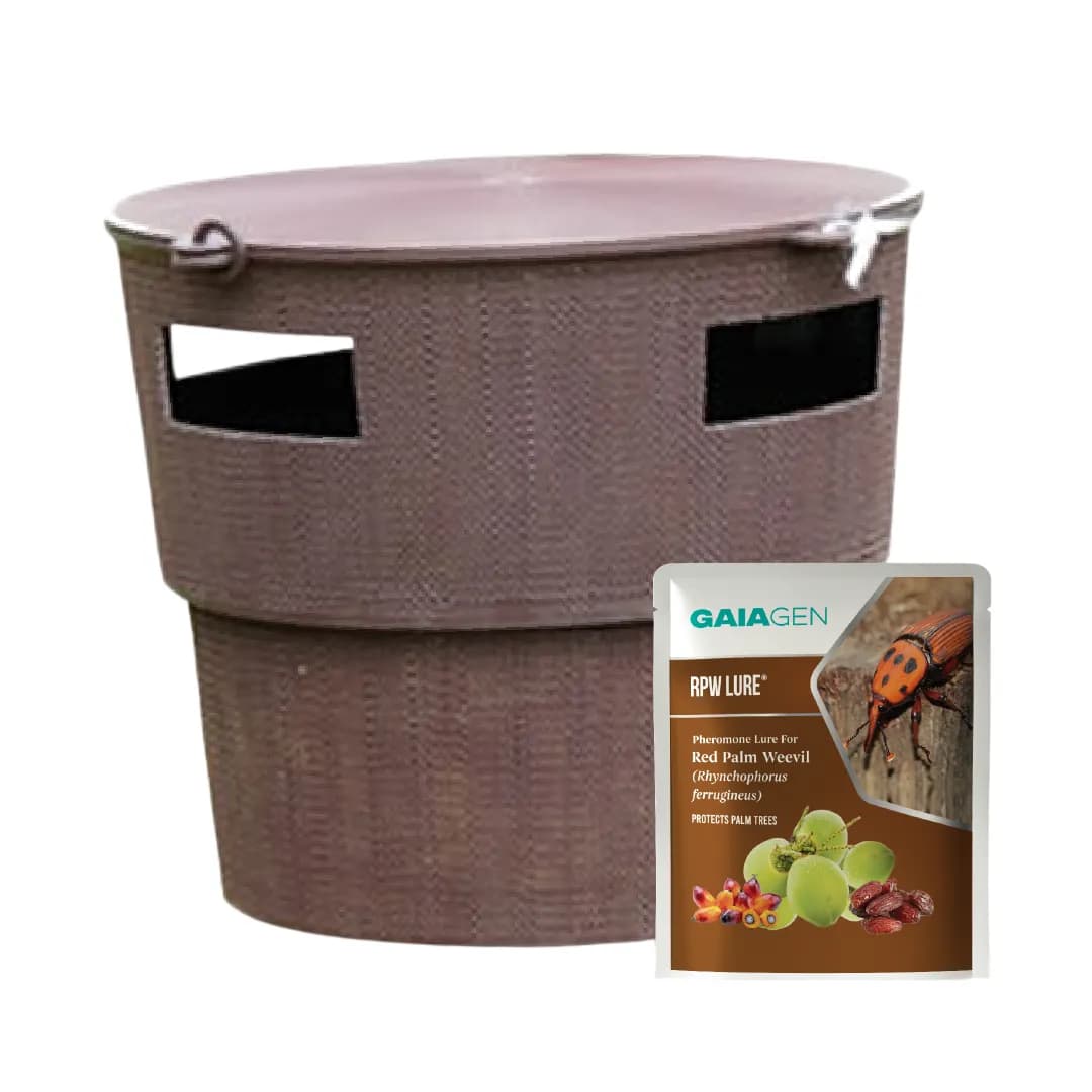 गाइएजेन आरपीडब्ल्यू फेरोमोन ल्योर और कीट बाल्टी जाल, लाल ताड़ सुंडी (राइन्कोफोरस फेरूजीनियस) के लिए, आईएमओ प्रमाणित - Image 1