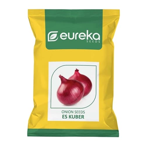 Eureka ES KUBER Improved Hybrid Onion Seeds, High Yield, Red Onion, For Kharif and Rabi Seasons - Image 1