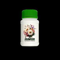 Vikalp Premium Seaweed Fertilizer Perfect Organic Fertilizer for Indoor and Outdoor Plants & All Types of Crops 1