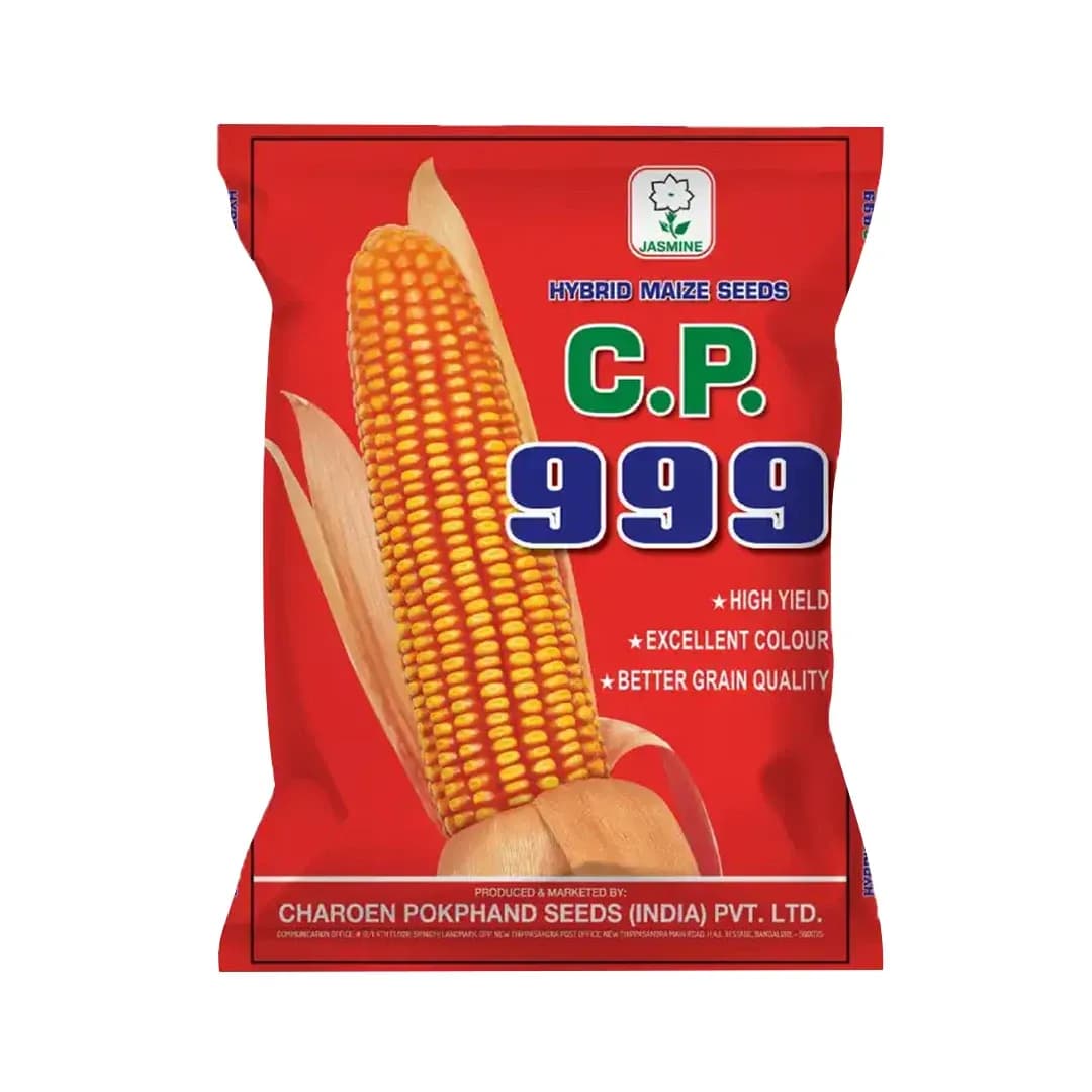 Maize Seeds 999 Hybrid - CP Seeds, Makka Ke Beej, High Yeilding, Deep Kernels, Best Quality Makka