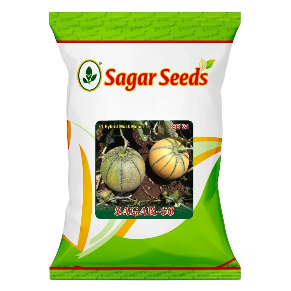 Sagar 60 F1 Hybrid Muskmelon Seeds, Yellow Skin With Green Stripes, High Yield, Orange Flesh - Image 1