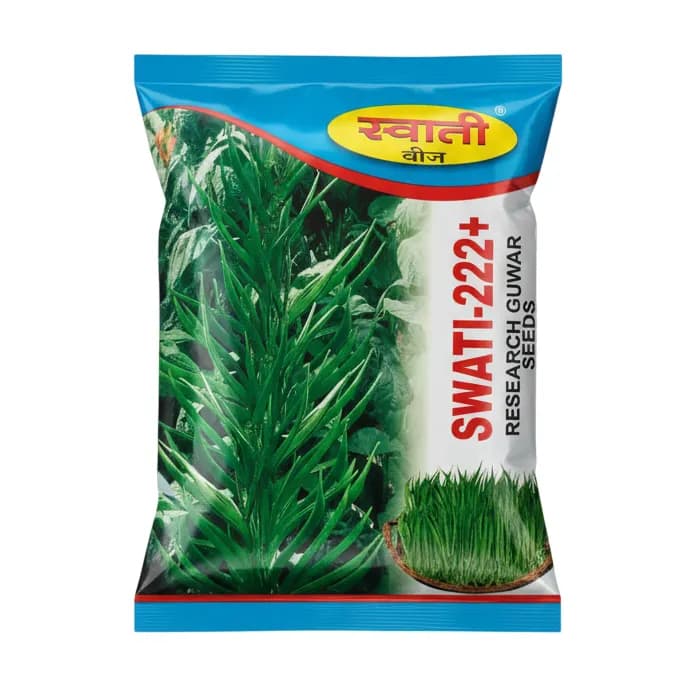 SWATI-222+ Research Guwar Seeds, High Yield, Early Maturity - Image 1