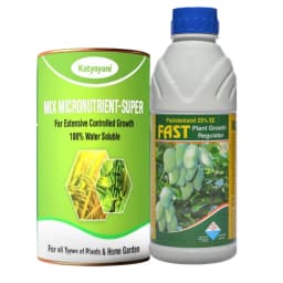 Katyayani Garlic Bulb Special Growth Combo, Enhance Growth (Fast 100ml, Mix Micronutrient 100gm) 1