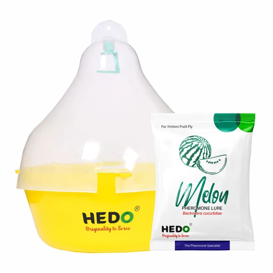 HEDO Pheromone Trap With Melon Fruit Lure (Bactrocera Cucurbitae) Control Melon Fly For Cucumber, Bottle Gourd, Bitter Gourd, Pumpkin, Water Melon - Image 1