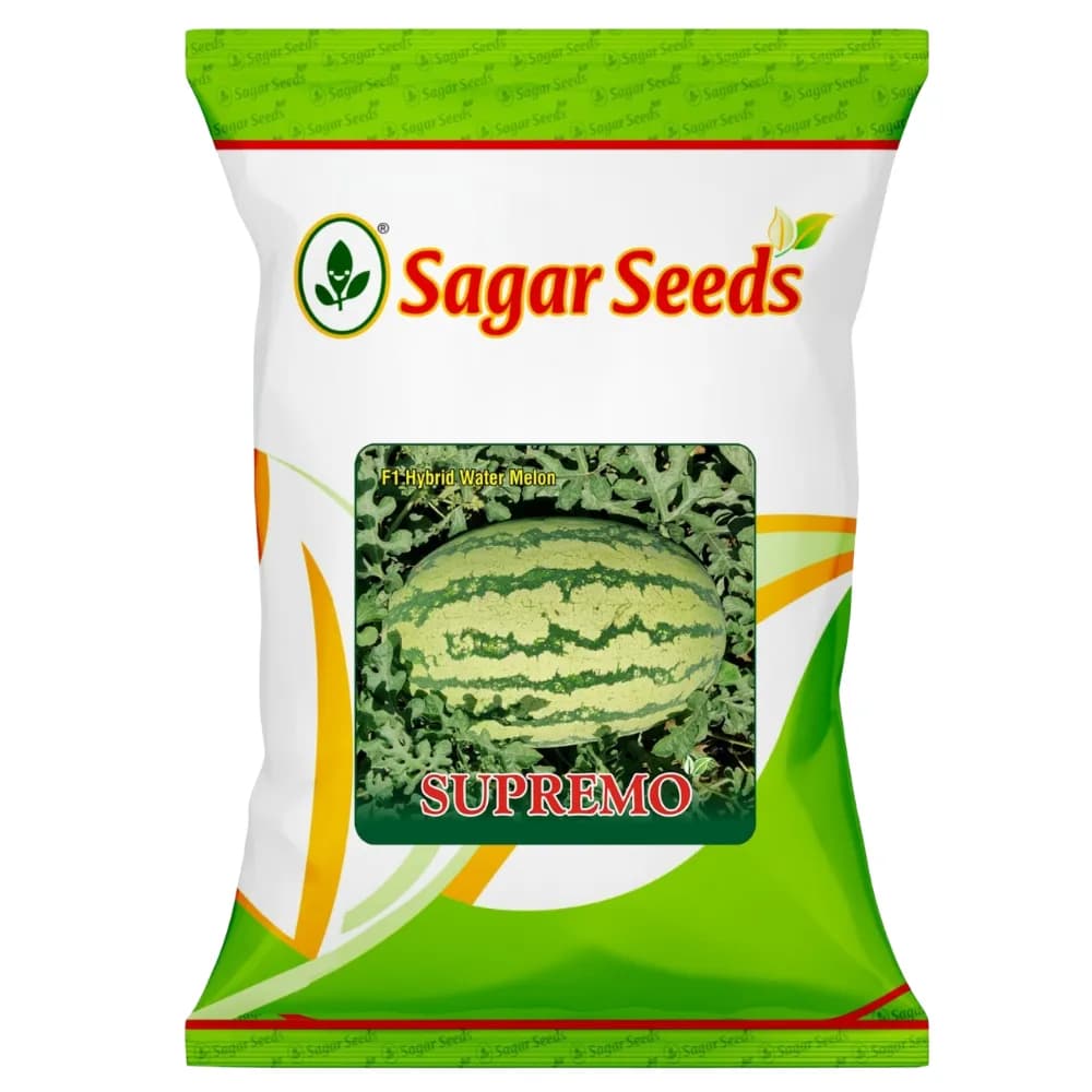 Sagar SUPREMO F1 Hybrid Watermelon Seeds, Oblong Shape, Classified As Small Sized Seeds - Image 1