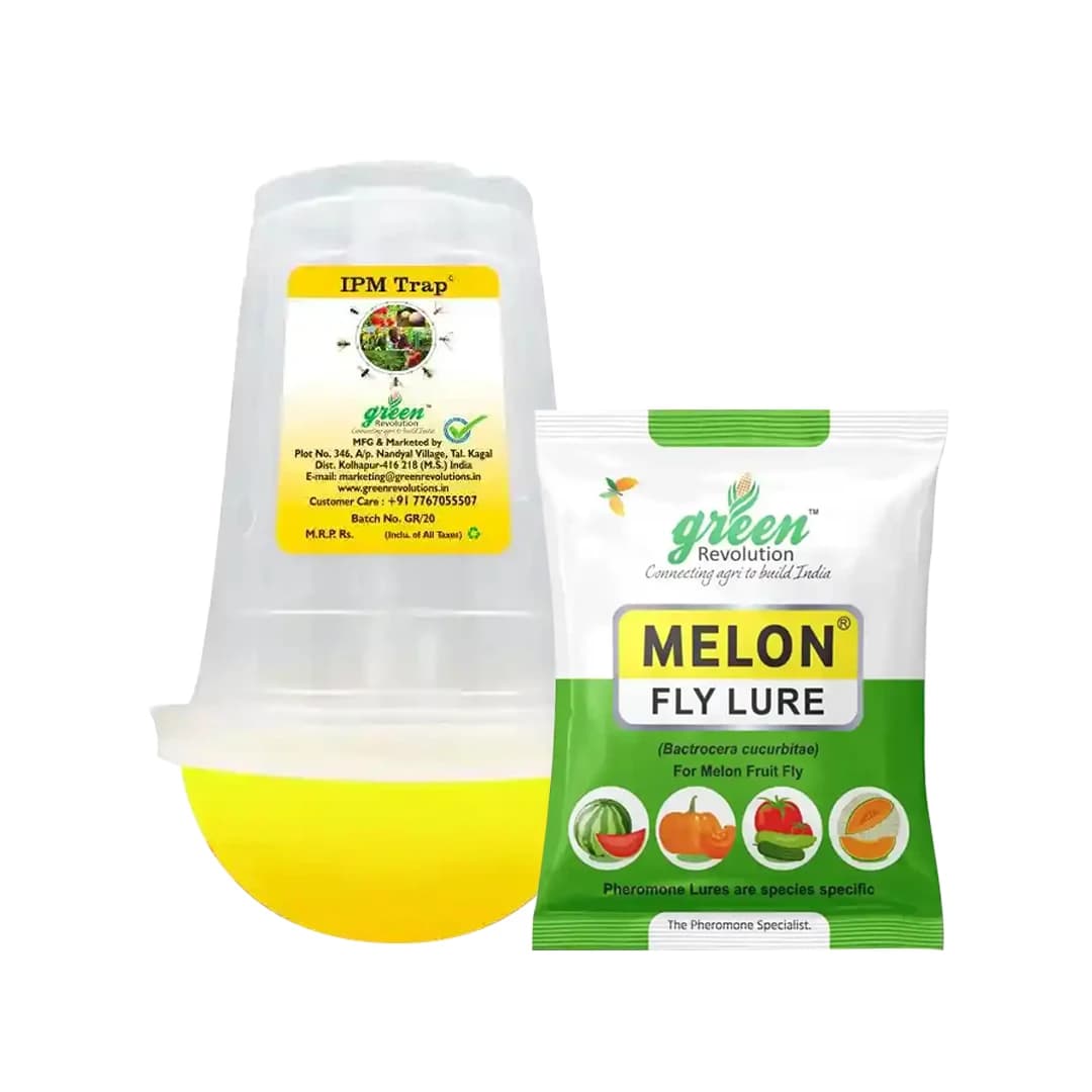 आईपीएम ट्रैप विथ मेलॉन फ्लाई फेरोमोने ल्यूर, बैक्ट्रोसेरा कुकुर्बिटे को नियंत्रित करने के लिए। खीरा, लौकी, करेला, कद्दू, तरबूज़ के लिए उपयोगी। - Image 1