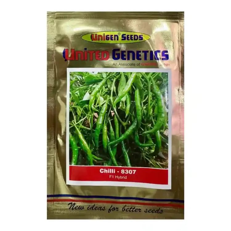 United Genetics 8307 F1 Hybrid Chilli Seeds, For Fresh Market And Processing Purpose, High Pungent