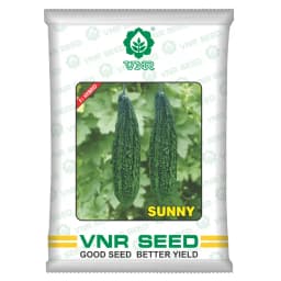 VNR F1 Hybrid Sunny Bitter Ground Seeds, High Yield, Attractive Fruits & Early Harvest 1