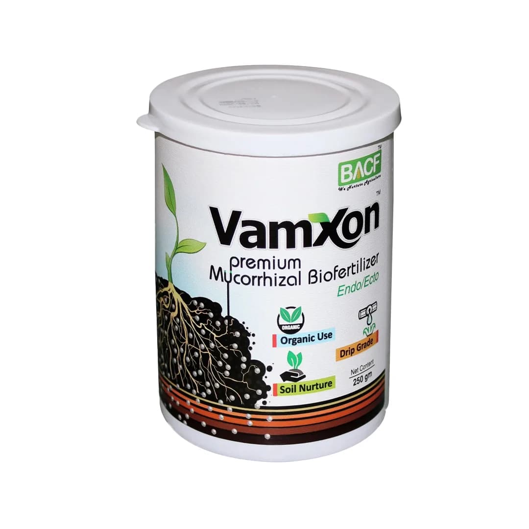 Vamxon - Vesicular Arbuscular Mycorrhiza Biofertilizer - Image 1