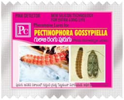 Pheromone Trap With Pectinophera Gossypilla Lure (10 Pack) Trap and Lure, Complete Set for Cotton Pink Bollworm, Protects Crops From Harmful Pests 1