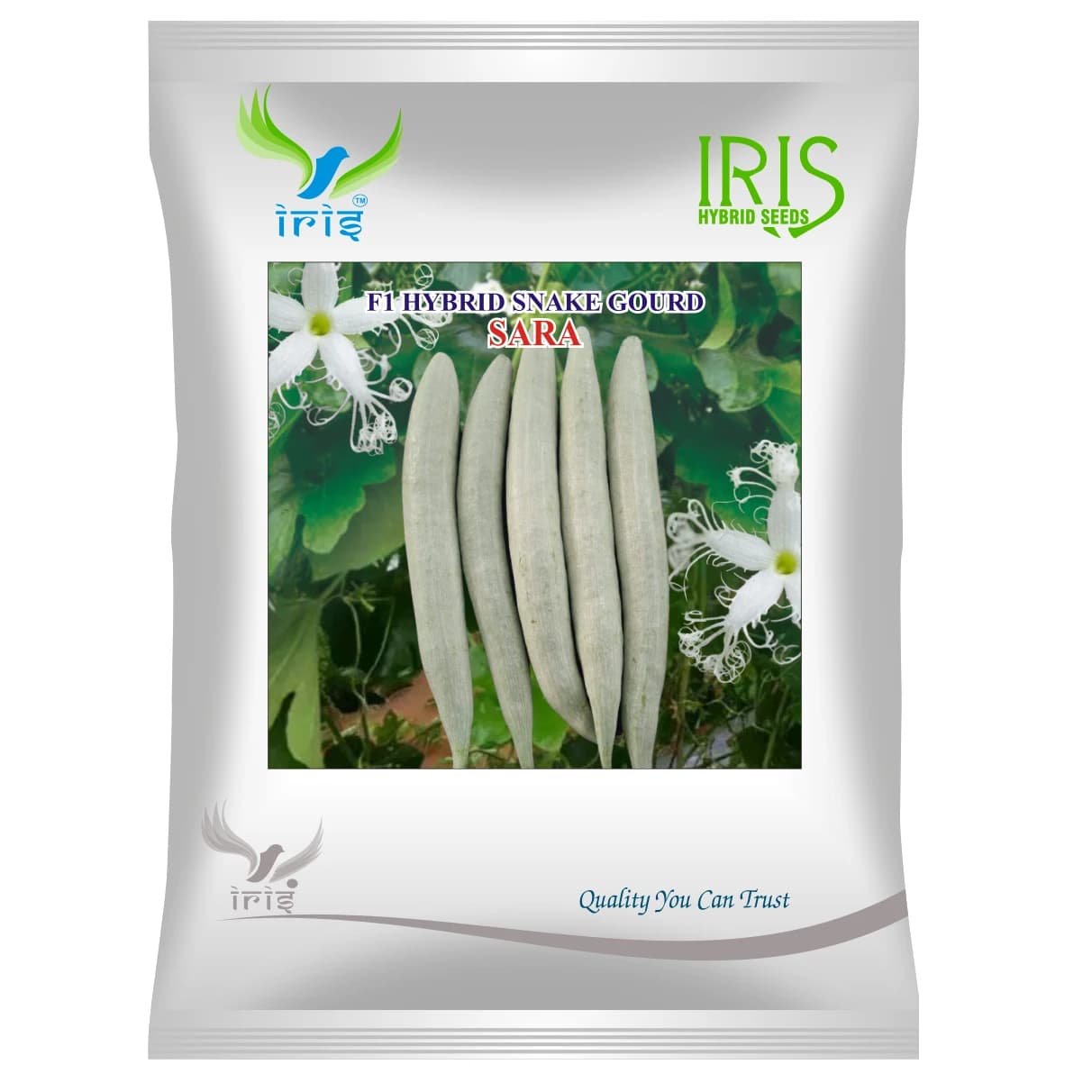 Iris SARA F1 Hybrid Snake Gourd Seeds, High Yield Vigorous Vine, Light Green with White Stripes - Image 1
