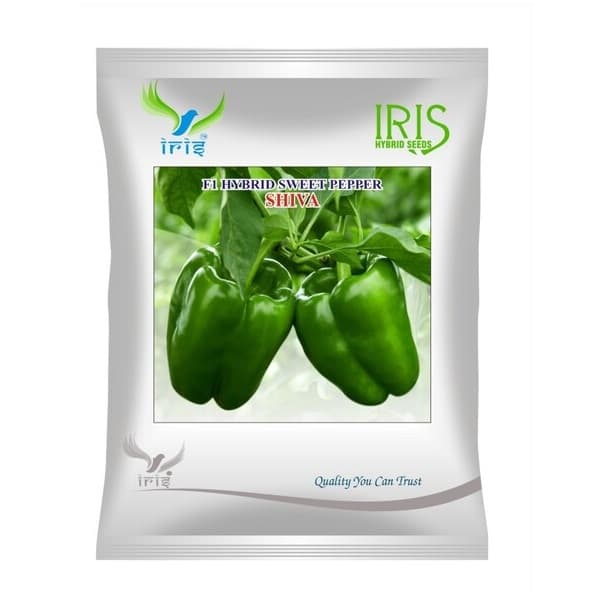 Iris Shiva F1 Hybrid Capsicum Seeds, Thick Flesh, High Yield And Disease Resistant Variety - Image 1