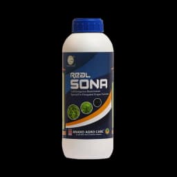 Real Sona (Grapes Special) Improves Length, Bunch Berry, Color & Weight Of Grapes 1