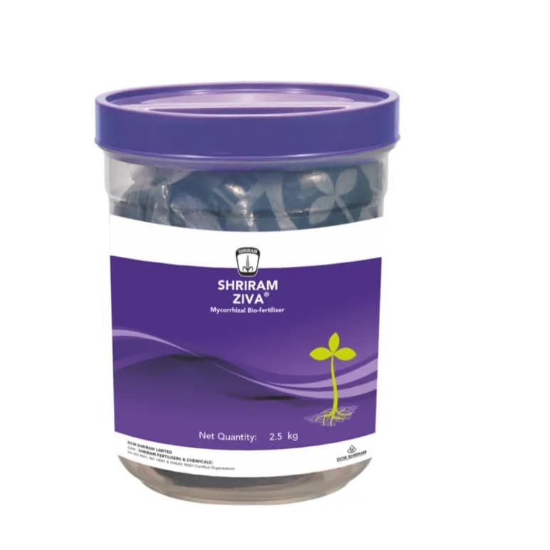 Shriram Ziva (Soil) Mycorrhiza Bio-Fertiliser, Soil Application In Various Crops - Image 1