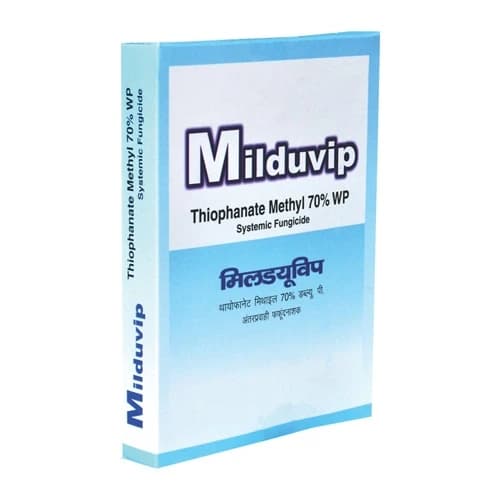 Godrej Milduvip Thiophanate Methyl 70% WP Fungicide, Systemic Broad-Spectrum  - Image 1