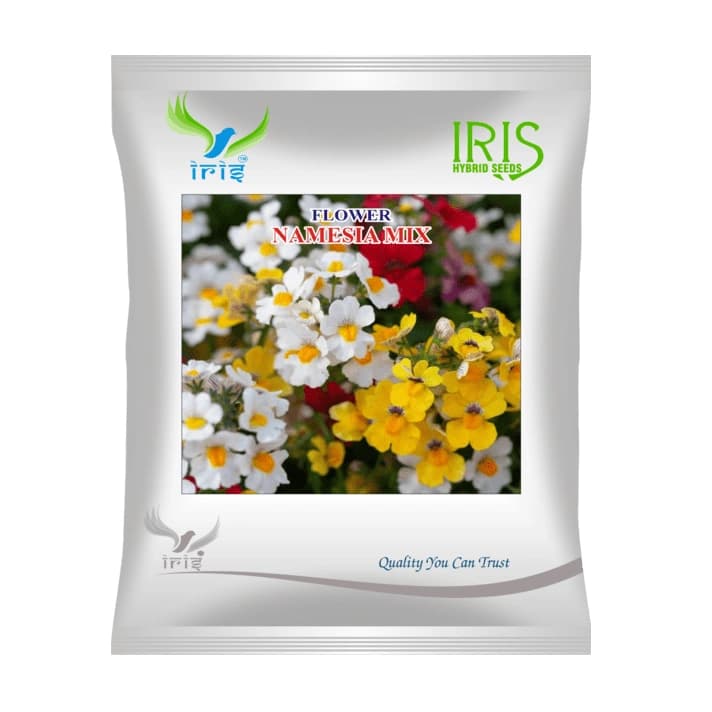 Iris Namesia Mix Hybrid OP Flower Seeds, Imported, Two-Lipped Mixed Colour, Compact Free Flowering Plant - Image 1