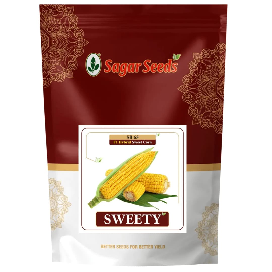 Sagar Sweety F1 Hybrid Sweet Corn Seeds, Sweet And Juicy, High Yield, Vigorous Growth