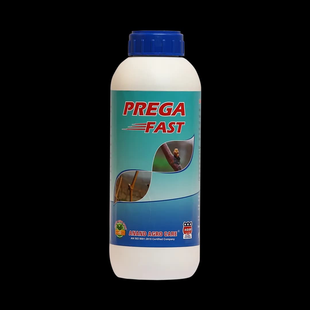 Anand Prega Fast (Flowering Stimulant), Increases Number of Flower In Plant And Yield, Reduces Flower And Fruit Drop - Image 1