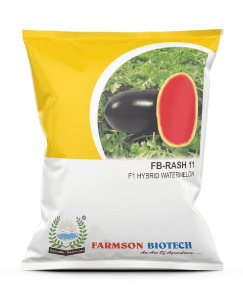 Farmson FB Rash 11 F1 Hybrid Watermelon Seeds, Oval Shape, High-Yielding Variety - Image 1