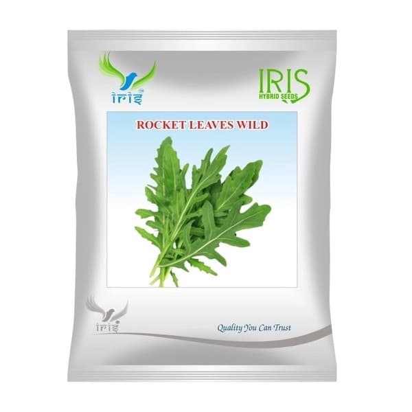 Iris OP Rocket Leaves Wild Seeds, Edible Leafy Green, Brigh Green, Ideal For Salads, Garnishes, and Culinary Use - Image 1