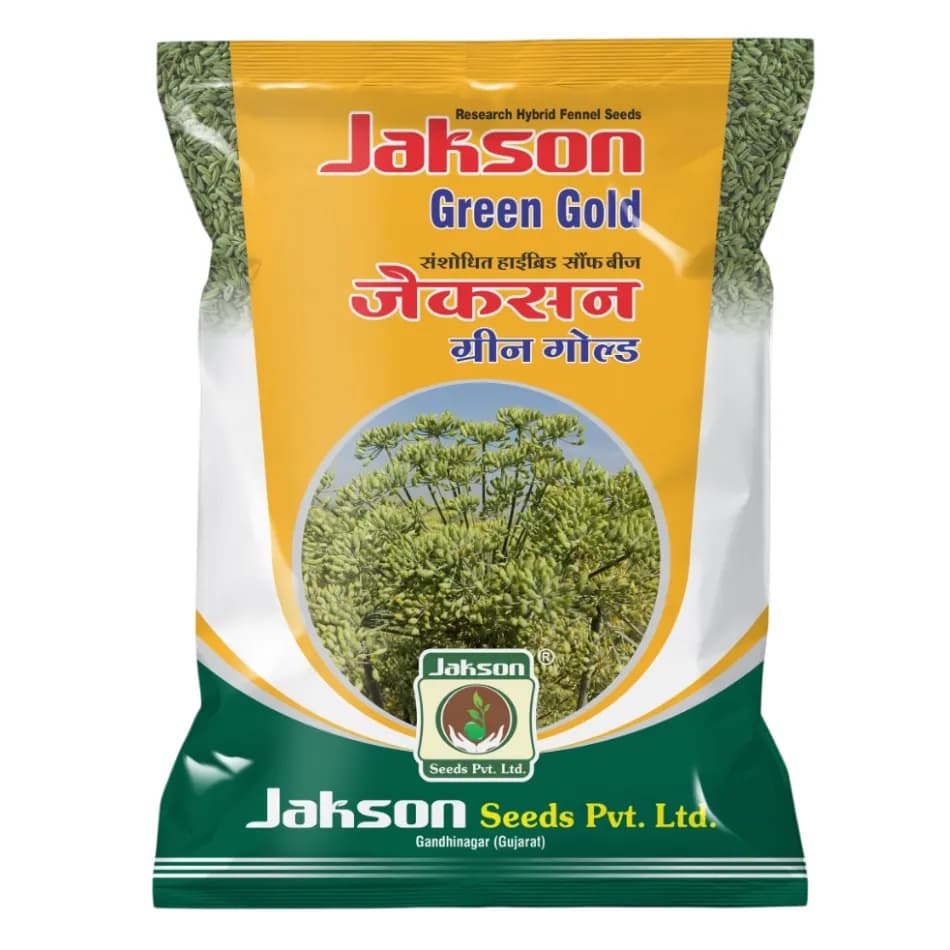 Jakson Green Gold F1 Hybrid Fennel Seeds, High Yield, Sakriya Disease Resistant Variety