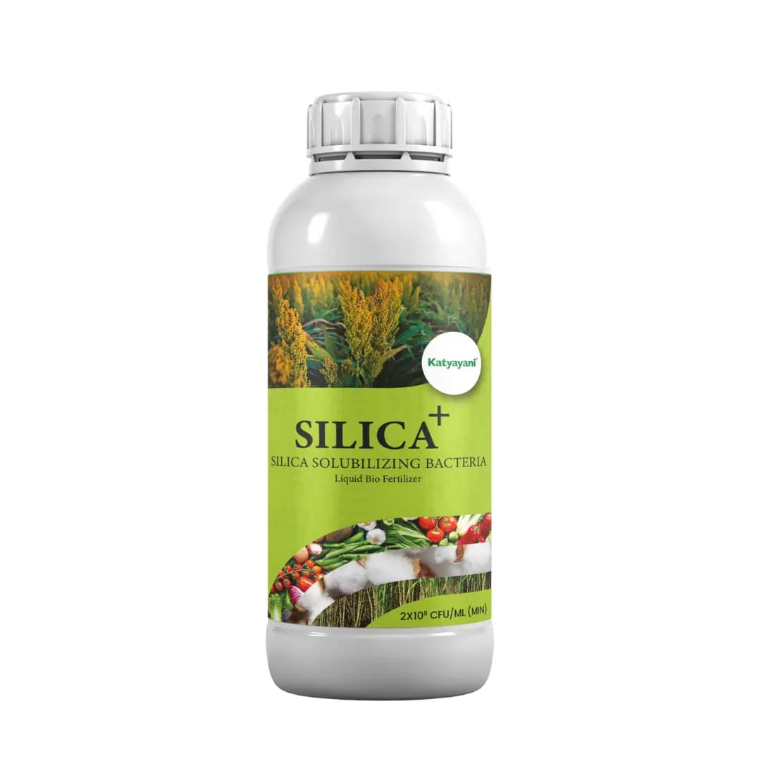 Katyayani Silica Plus Silica Solubilizing Bacteria Bio Fertilizer For Enhanced Silica Availability and Improved Plant Strength and Growth - Image 1