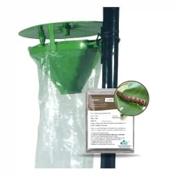 Gaiagen Tobacco Caterpillar (Spodoptera Litura) Pheromone Lure And Insect Funnel Traps, IMO Certified. 3