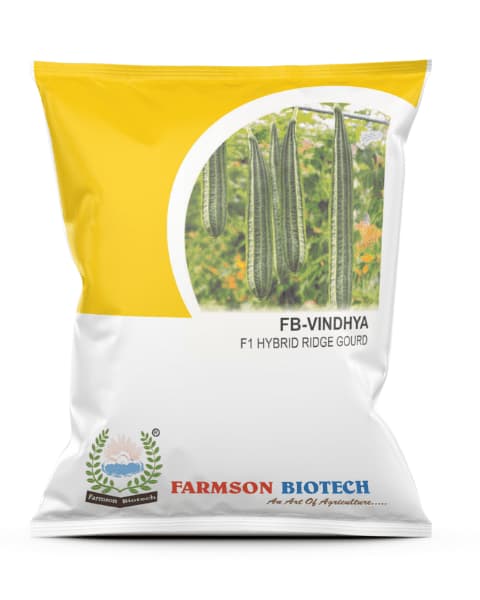 Farmson FB Vindhya F1 Hybrid Ridge Gourd Seeds, Round The Year Season Variety, Uniform Straight - Image 1