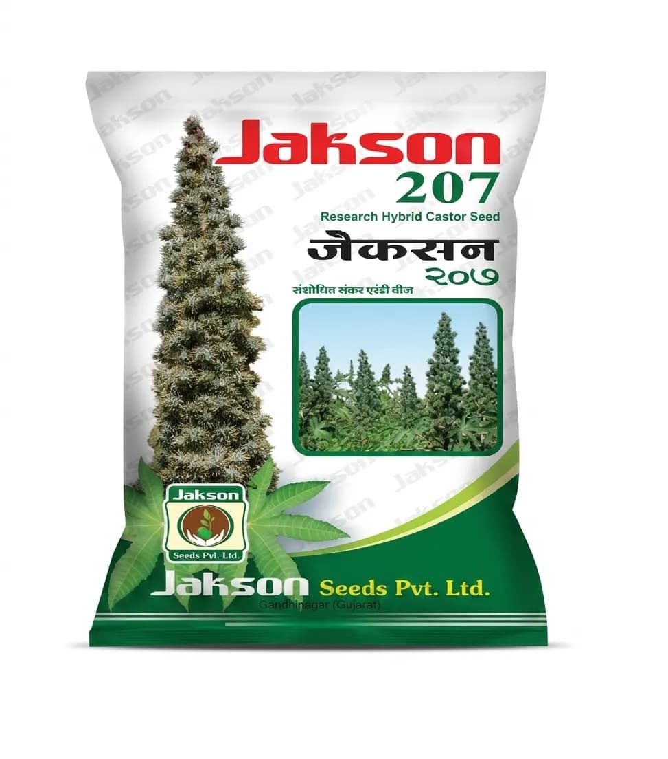 Jakson Seeds Jakson 207 Research Hybrid Castor Seeds For Kharif Cultivation - Image 1